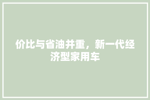 价比与省油并重，新一代经济型家用车