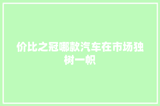 价比之冠哪款汽车在市场独树一帜