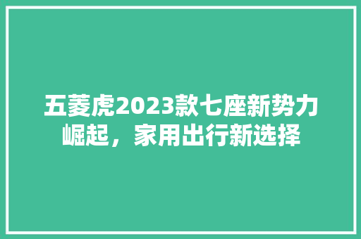 五菱虎2023款七座新势力崛起，家用出行新选择