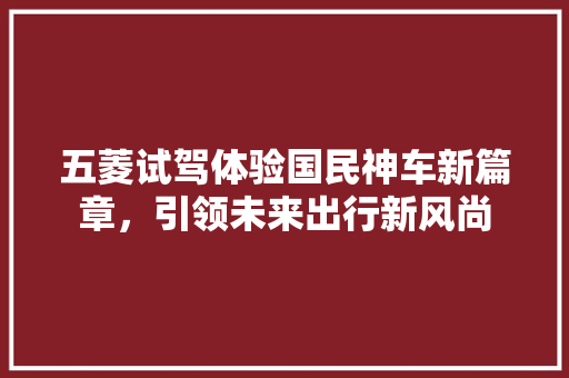 五菱试驾体验国民神车新篇章，引领未来出行新风尚