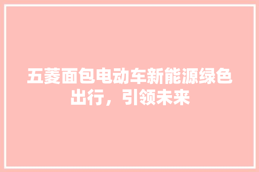 五菱面包电动车新能源绿色出行，引领未来