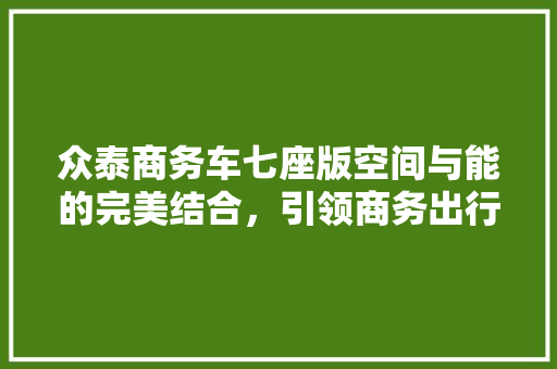 众泰商务车七座版空间与能的完美结合，引领商务出行新风尚