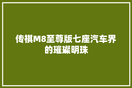 传祺M8至尊版七座汽车界的璀璨明珠