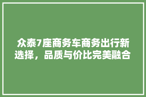 众泰7座商务车商务出行新选择，品质与价比完美融合