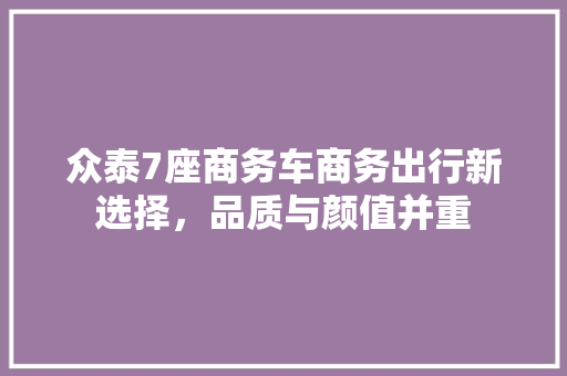 众泰7座商务车商务出行新选择，品质与颜值并重