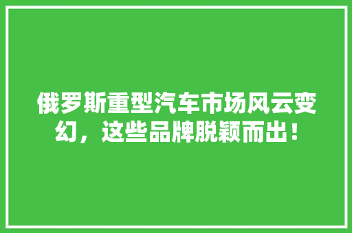 俄罗斯重型汽车市场风云变幻，这些品牌脱颖而出！
