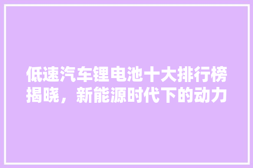低速汽车锂电池十大排行榜揭晓，新能源时代下的动力核心