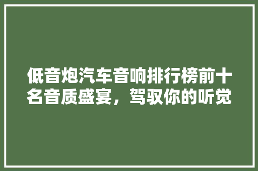 低音炮汽车音响排行榜前十名音质盛宴，驾驭你的听觉之旅