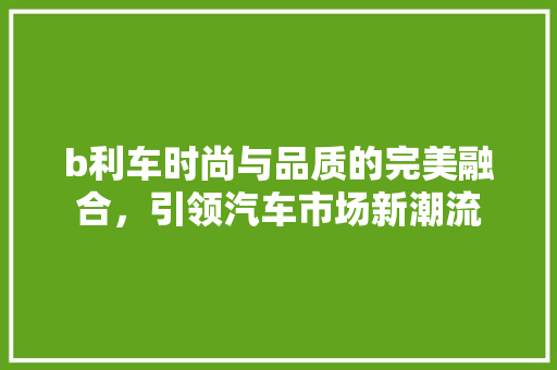 b利车时尚与品质的完美融合，引领汽车市场新潮流