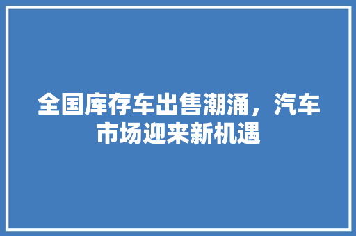 全国库存车出售潮涌，汽车市场迎来新机遇