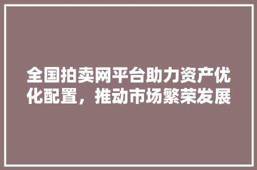 全国拍卖网平台助力资产优化配置，推动市场繁荣发展