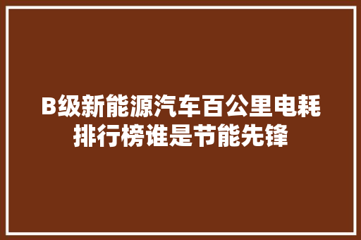B级新能源汽车百公里电耗排行榜谁是节能先锋