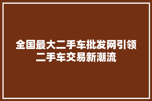 全国最大二手车批发网引领二手车交易新潮流