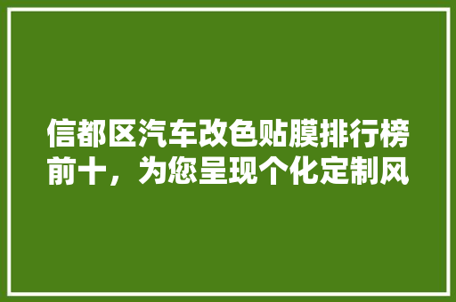 信都区汽车改色贴膜排行榜前十，为您呈现个化定制风采