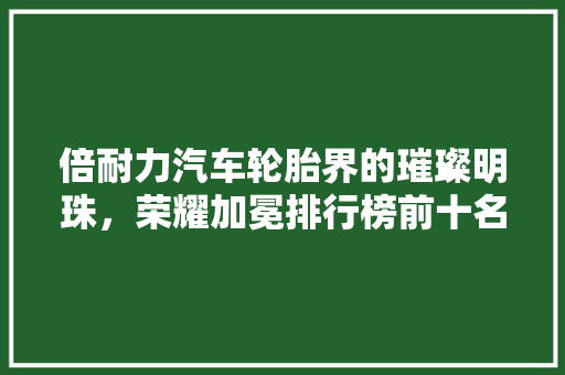 倍耐力汽车轮胎界的璀璨明珠，荣耀加冕排行榜前十名