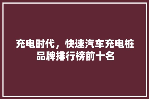 充电时代，快速汽车充电桩品牌排行榜前十名
