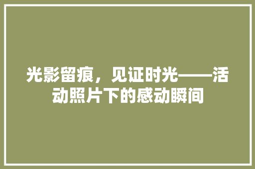 光影留痕，见证时光——活动照片下的感动瞬间