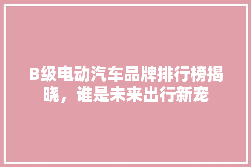 B级电动汽车品牌排行榜揭晓，谁是未来出行新宠
