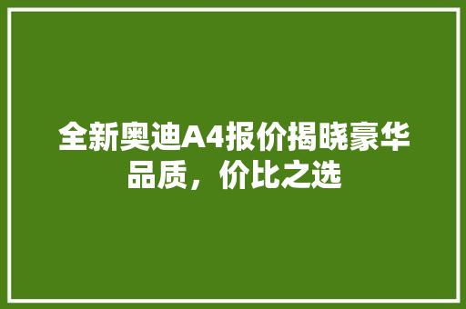 全新奥迪A4报价揭晓豪华品质，价比之选