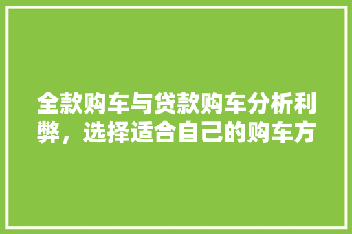 全款购车与贷款购车分析利弊，选择适合自己的购车方式