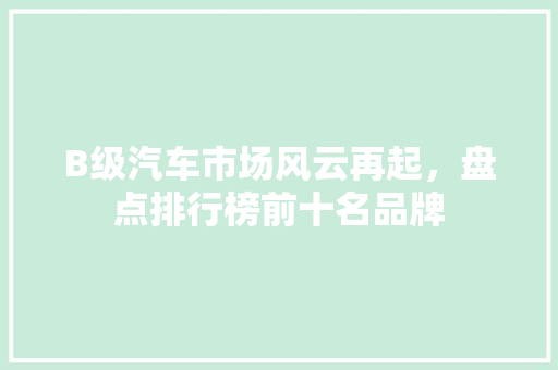 B级汽车市场风云再起，盘点排行榜前十名品牌