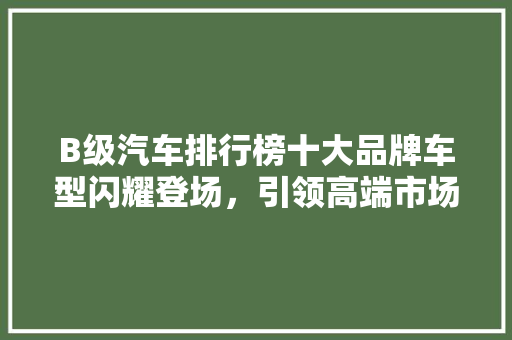 B级汽车排行榜十大品牌车型闪耀登场，引领高端市场新潮流