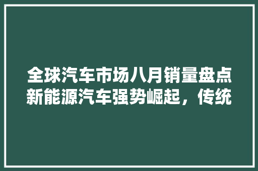 全球汽车市场八月销量盘点新能源汽车强势崛起，传统车企面临挑战