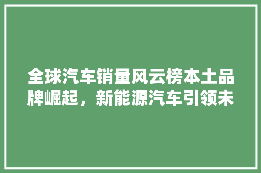 全球汽车销量风云榜本土品牌崛起，新能源汽车引领未来