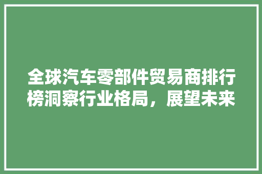 全球汽车零部件贸易商排行榜洞察行业格局，展望未来发展趋势