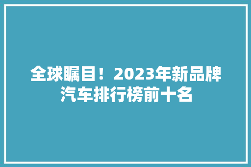 全球瞩目！2023年新品牌汽车排行榜前十名
