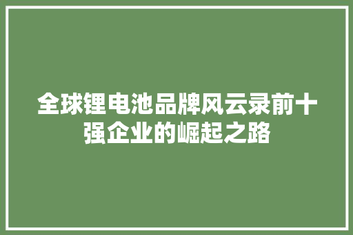 全球锂电池品牌风云录前十强企业的崛起之路