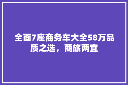 全面7座商务车大全58万品质之选，商旅两宜