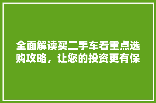 全面解读买二手车看重点选购攻略，让您的投资更有保障