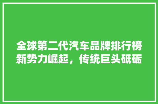 全球第二代汽车品牌排行榜新势力崛起，传统巨头砥砺前行