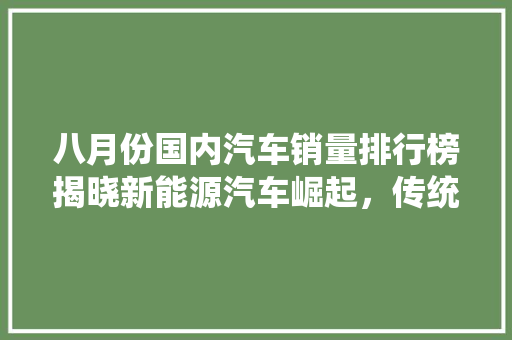 八月份国内汽车销量排行榜揭晓新能源汽车崛起，传统车企面临挑战