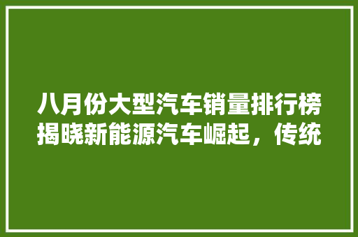 八月份大型汽车销量排行榜揭晓新能源汽车崛起，传统车企面临挑战