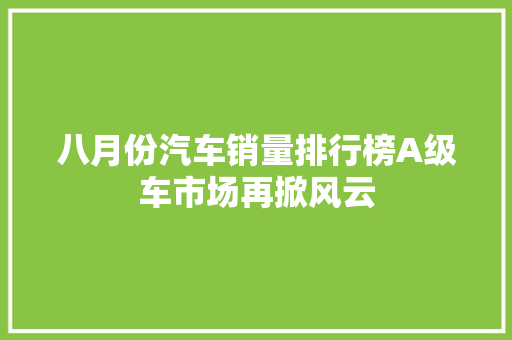 八月份汽车销量排行榜A级车市场再掀风云