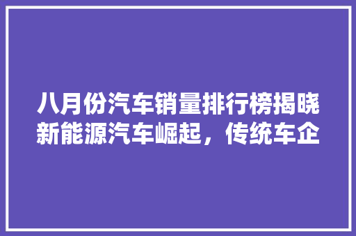 八月份汽车销量排行榜揭晓新能源汽车崛起，传统车企面临挑战