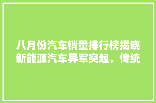 八月份汽车销量排行榜揭晓新能源汽车异军突起，传统车企面临挑战