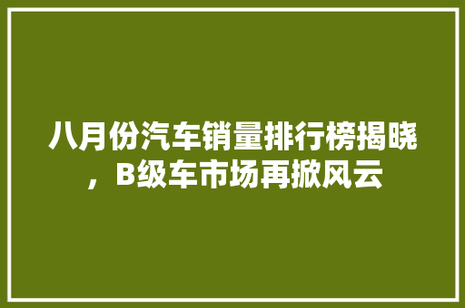 八月份汽车销量排行榜揭晓，B级车市场再掀风云