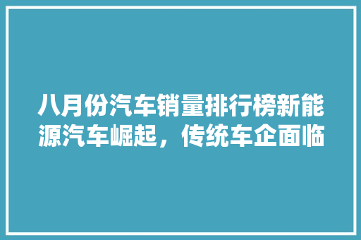 八月份汽车销量排行榜新能源汽车崛起，传统车企面临挑战