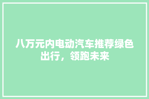 八万元内电动汽车推荐绿色出行，领跑未来