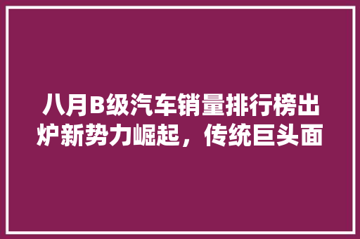 八月B级汽车销量排行榜出炉新势力崛起，传统巨头面临挑战