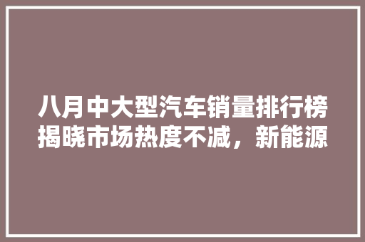 八月中大型汽车销量排行榜揭晓市场热度不减，新能源汽车崛起