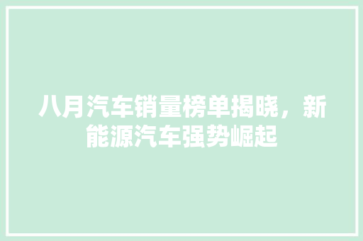 八月汽车销量榜单揭晓，新能源汽车强势崛起