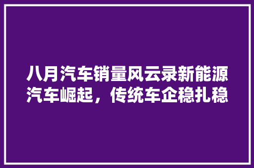 八月汽车销量风云录新能源汽车崛起，传统车企稳扎稳打