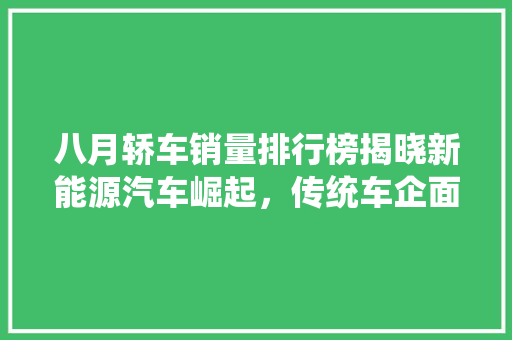 八月轿车销量排行榜揭晓新能源汽车崛起，传统车企面临挑战