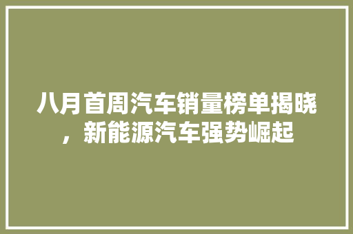 八月首周汽车销量榜单揭晓，新能源汽车强势崛起