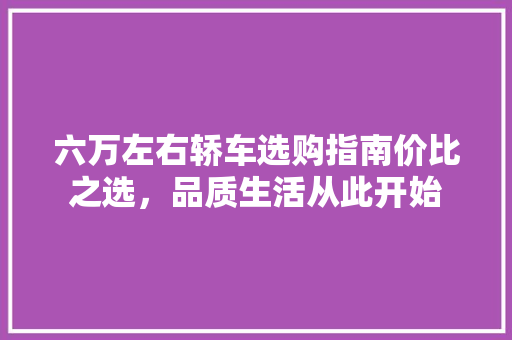 六万左右轿车选购指南价比之选，品质生活从此开始