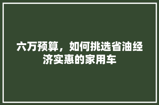 六万预算，如何挑选省油经济实惠的家用车
